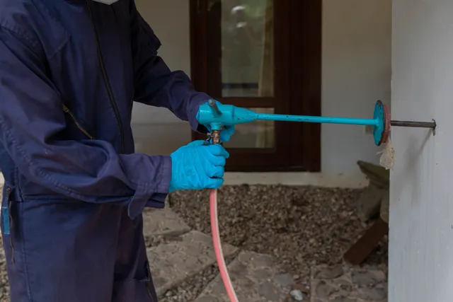 pest control services Ashuelot, NH pest control services Ashuelot, NH
